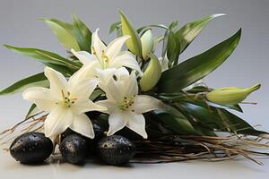 ai generato vaniglia vaniglia pianta e vaniglia orchidea fiori foto