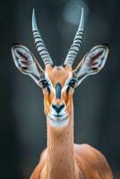 ai generato antilope ritratto nel natura foto