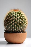 ai generato uno il giro interno pianta cactus nel pentola su bianca sfondo, neurale Rete generato Immagine foto