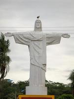 cassilandia, mato grosso do sul, brasile, 2021 - statua di Cristo dal cimitero della città con un ibis dal collo camoscio della specie theristicus caudatus