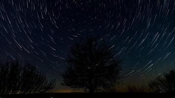 stella sentieri nel il notte cielo sopra il silhouette di un' albero. stelle mossa in giro un' polare stella foto