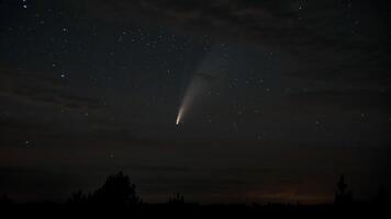 cometa neowise si sposta attraverso il notte cielo tra il stelle foto