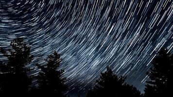 stella sentieri nel il notte cielo. stelle mossa in giro un' polare stella. sagome di alberi foto