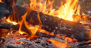 avvicinamento Visualizza di falò fiamme di campeggio fuoco, lento movimento ardente legna da ardere. accogliente fine settimana, legna da ardere, ardente registri, calore, campeggio, natura all'aperto ricreazione concetto. foto