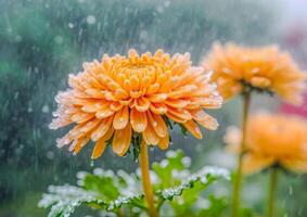 ai generato rosa e giallo dalia circondato di vivace fiori nel un' giardino foto