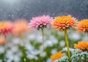 ai generato rosa e giallo dalia circondato di vivace fiori nel un' giardino foto