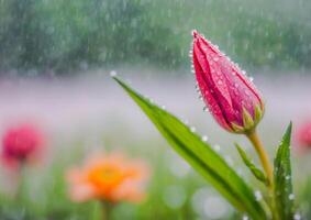 ai generato un' rosa fiore circondato di acqua goccioline nel un' giardino foto