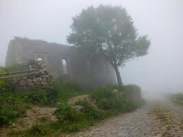 Santa rovine nel nebbioso tempo atmosferico, gommosa, tacchino. foto