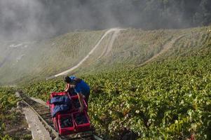 ribeira sacra, galizia, spagna, 2021 foto