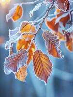 ai generato arancia faggio le foglie coperto con brina nel in ritardo autunno o presto inverno. foto