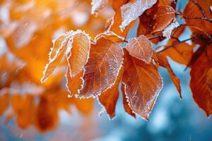 ai generato arancia faggio le foglie coperto con brina nel in ritardo autunno o presto inverno. foto