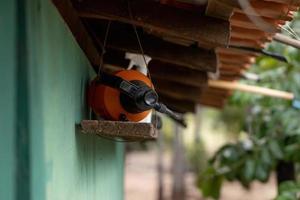 spray a mano di pesticidi foto