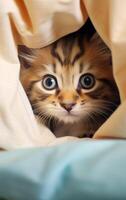 ai generato carino felino nascondiglio sotto coperta foto