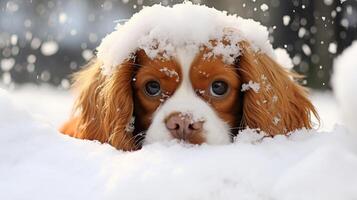 ai generato energico cavaliere re charles spaniel cucciolo allegramente giocando nel il bellissimo inverno neve foto