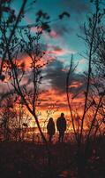 ai generato silhouette di giovane coppia su un' sfondo di un' bellissimo tramonto foto