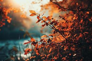 ai generato autunno le foglie nel il raggi di il ambientazione sole. bellissimo natura sfondo. foto