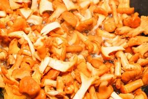 cantharellus Cibarius, gallinacci funghi giallo cucinando nel un' frittura padella foto