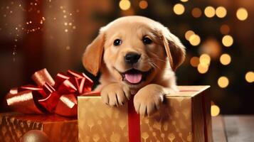 ai generato labrador cucciolo nel regalo scatola festivo Natale animale domestico ritratto con luminosa leggero Immagine stile foto