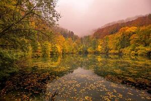 Bellissima, colorato autunno lago. sorprendente acqua riflessione, tranquillo, calmo natura scenario. giallo arancia foglie, nebbioso mattina luce. rilassare autunnale autunno natura Visualizza. luminosa di stagione paesaggio, panoramico foto