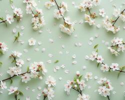 ai generato fioritura ciliegia rami con sparpagliato petali contro un' pastello verde sfondo foto