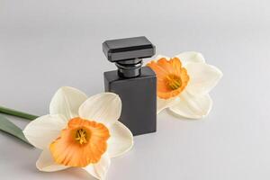 un' Opaco nero bottiglia di spazio spray o profumo sta su un' pastello sfondo tra grande narciso fiore teste. profumo e bellezza concetto. foto