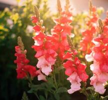 ai generato all'aperto fiore sfondo foto