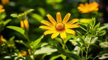 ai generato vivace giallo Fiore di campo nel vicino su circondato di verde foto