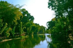 un' fiume circondato di alberi foto