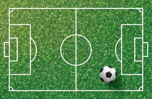 pallone da calcio su erba verde del modello del campo di calcio e della priorità bassa di struttura. grafico illustrativo.