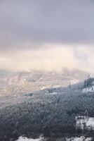 inverno natura nel beskydy montagne nel il est di il ceco repubblica. abete rosso foresta sotto un' copertina di bianca neve e nebbia nel il mattina. inverno Fata racconto. gennaio foto