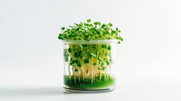 ai generato verdura avvicinamento nel trasparente bicchiere su bianca sfondo con copia spazio. dettagliato Immagine di microgreens basilico, ravanello per bandiera con vuoto spazio per testo. vegano e salutare eco cibo foto