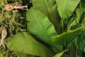 verde impianti nel il interno di il camera. verticale verde giardino nel un' camera con un' uccello foto