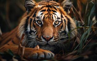 ai generato maestoso tigre seduto nel lussureggiante giungla erba, maestoso grande gatti immagine foto