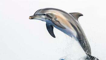 ai generato giocoso bottiglia naso delfino salti con gioia nel il oceano onde, subacqueo marino vita Immagine foto