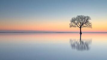 ai generato sereno foto di solitario albero in piedi parzialmente sommerso nel calma corpo di acqua, con il pendenza tonalità di tramonto o Alba riflettendo su il acqua superficie. ai generato