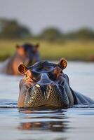 ai generato ippopotamo testa emergente a partire dal il acqua. il acqua ha dolce increspature, indicando quiete ai generato foto