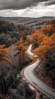 ai generato foto di strada in mezzo sereno paesaggio. il giusto lato di il Immagine è dominato di alberi con le foglie ai generato