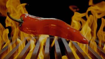un' caldo rosso peperoni nel fiamme speziato rosso peperoncino peperoni a fuoco con barbeque griglia su nero sfondo foto