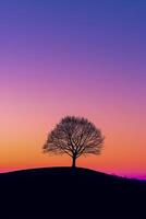 ai generato solitario albero staglia contro un' pendenza tramonto cielo ai generato foto