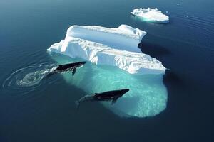 ai generato sereno e naturale ambiente Caratteristiche Due balene nuoto vicino iceberg incontaminato blu acque ai generato foto