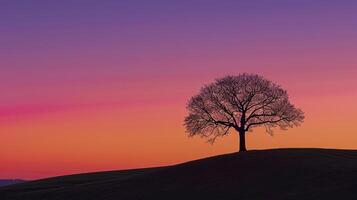 ai generato solitario albero staglia contro un' pendenza tramonto cielo ai generato foto