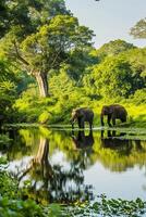 ai generato tranquillo scena nel natura dove Due elefanti siamo visto vicino il acqua bordo. ai generato foto