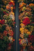 ai generato foto di dritto strada quello tagli attraverso il mezzo di denso, colorato autunno fogliame. singolo bianca auto dovrebbero essere visibile su il strada, sottolineando solitudine e la tranquillità ai generato