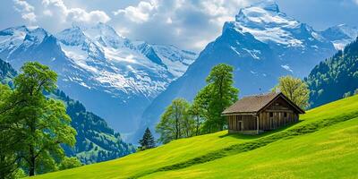 ai generato sereno naturale paesaggio legna cabina annidato nel il primo piano. il cabina dovrebbero essere situato su lussureggiante verde collina, con torreggiante neve capped montagne nel il sfondo ai generato foto