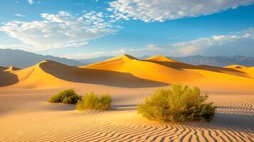 ai generato deserto paesaggio liscio sabbia dune ricco d'oro toni di il sabbia con il morbido blu cielo. pochi verde impianti siamo visibile nel il primo piano indisturbato naturale scena ai generato foto