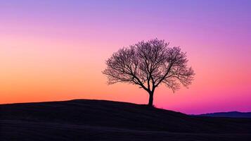 ai generato solitario albero staglia contro un' pendenza tramonto cielo ai generato foto