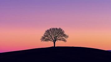 ai generato solitario albero staglia contro un' pendenza tramonto cielo ai generato foto