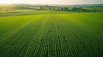 ai generato superiore aereo Visualizza di verde i campi e prati, paesaggio con Linee di campi, erba, alberi, indicando salutare Ritaglia crescita. ai generato foto