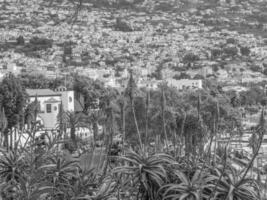 l'isola di Madera foto