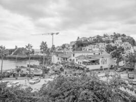 isola di Madera in Portogallo foto